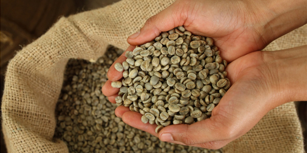 PREMIUM CLASS COFFEE